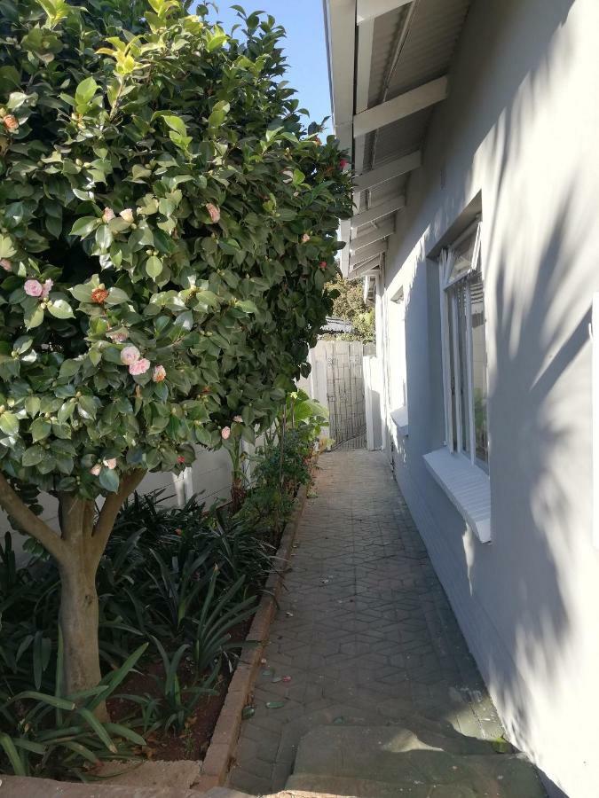 Willow Guest House Boksburg Εξωτερικό φωτογραφία
